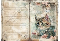 2025-JUNK-108 Katt