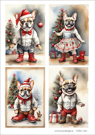 LDKL-1441 Klippark Hundar firar Jul!