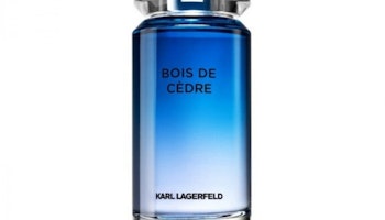 Parfym Herrar Bois de Cèdre Lagerfeld EDP (100 ml) (100 ml)