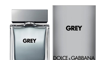 Herrar The One Grey Dolce & Gabbana EDT