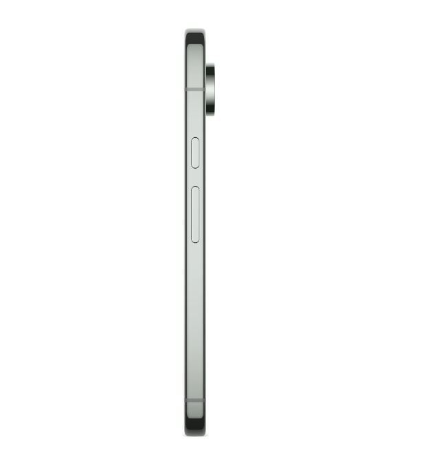 Google Pixel 9 Pro XL / 128/256GB - Hazel