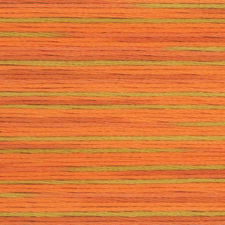 Farge 5008- Cosmo Seasons Variegated Embroidery Floss