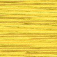 Farge 5009- Cosmo Seasons Variegated Embroidery Floss