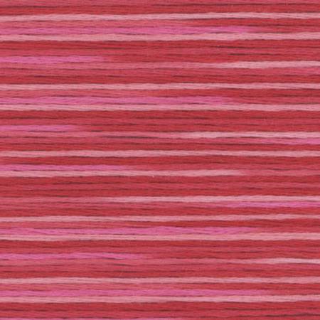 Farge 5002- Cosmo Seasons Variegated Embroidery Floss