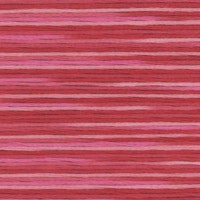 Farge 5002- Cosmo Seasons Variegated Embroidery Floss