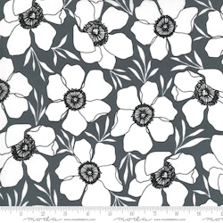 Illustrations Graphite-svart me hvite blomster
