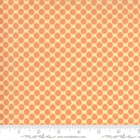 Kitty Corn Candy Corn-oransje bomber