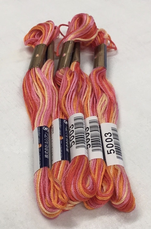 Farge 5003-Cosmo Seasons Variegated Embroidery Floss