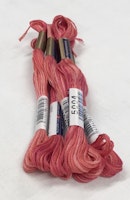 Farge 5004-Cosmo Seasons Variegated Embroidery Floss farge