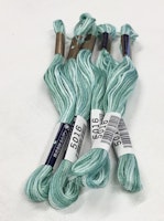 Farge 5016- Cosmo Seasons Variegated Embroidery Floss