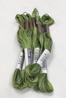 Farge 5014- Cosmo Seasons Variegated Embroidery Floss Greens