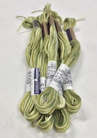 Farge 8016-Cosmo Seasons Variegated Embroidery Floss Greens