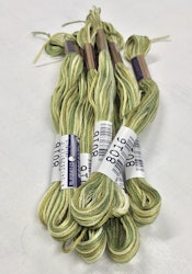 Farge 8016-Cosmo Seasons Variegated Embroidery Floss Greens
