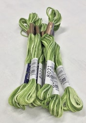 farge 8021-Cosmo Seasons Variegated Embroidery Floss Greens