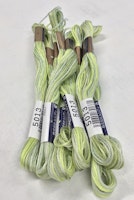 Farge 5013-Cosmo Seasons Variegated Embroidery Floss  light greens