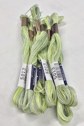 Farge 5013-Cosmo Seasons Variegated Embroidery Floss  light greens