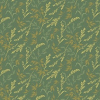 Lady Tulip-Spruce