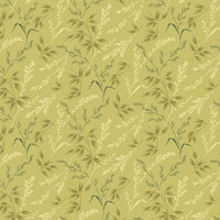 Lady Tulip-Pear