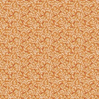 Lady Tulip-Tangerine