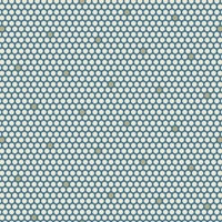 Blue Escape- Snowshoe Polka