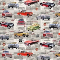 Austin Healey Allover-Veteranbiler