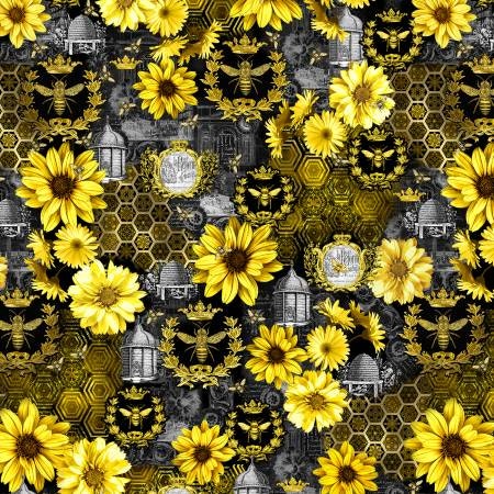 QUEEN BEE-Black Queen Bee Sunflower