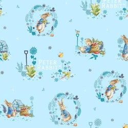 Greenhouse-Peter Rabbit