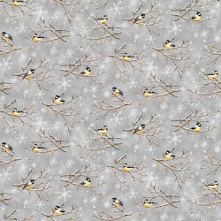 Bundle -up, Gray Chickadees- grå med fugler vinter