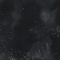 FOSSIL FERN- Carbon