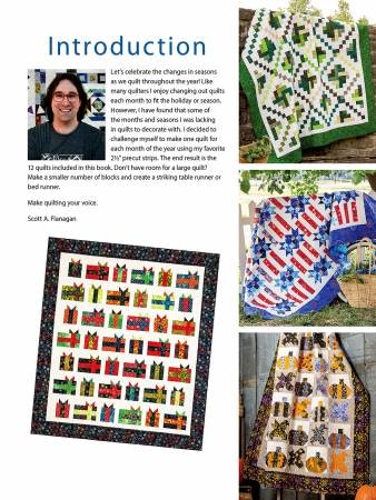 Jelly Roll Quilts for All Seasons-hefte