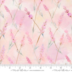 Blooming Lovely- Rosa