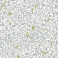 Summerstone-COBBLESTONE