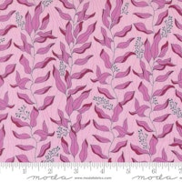 Legendary Love Lilac