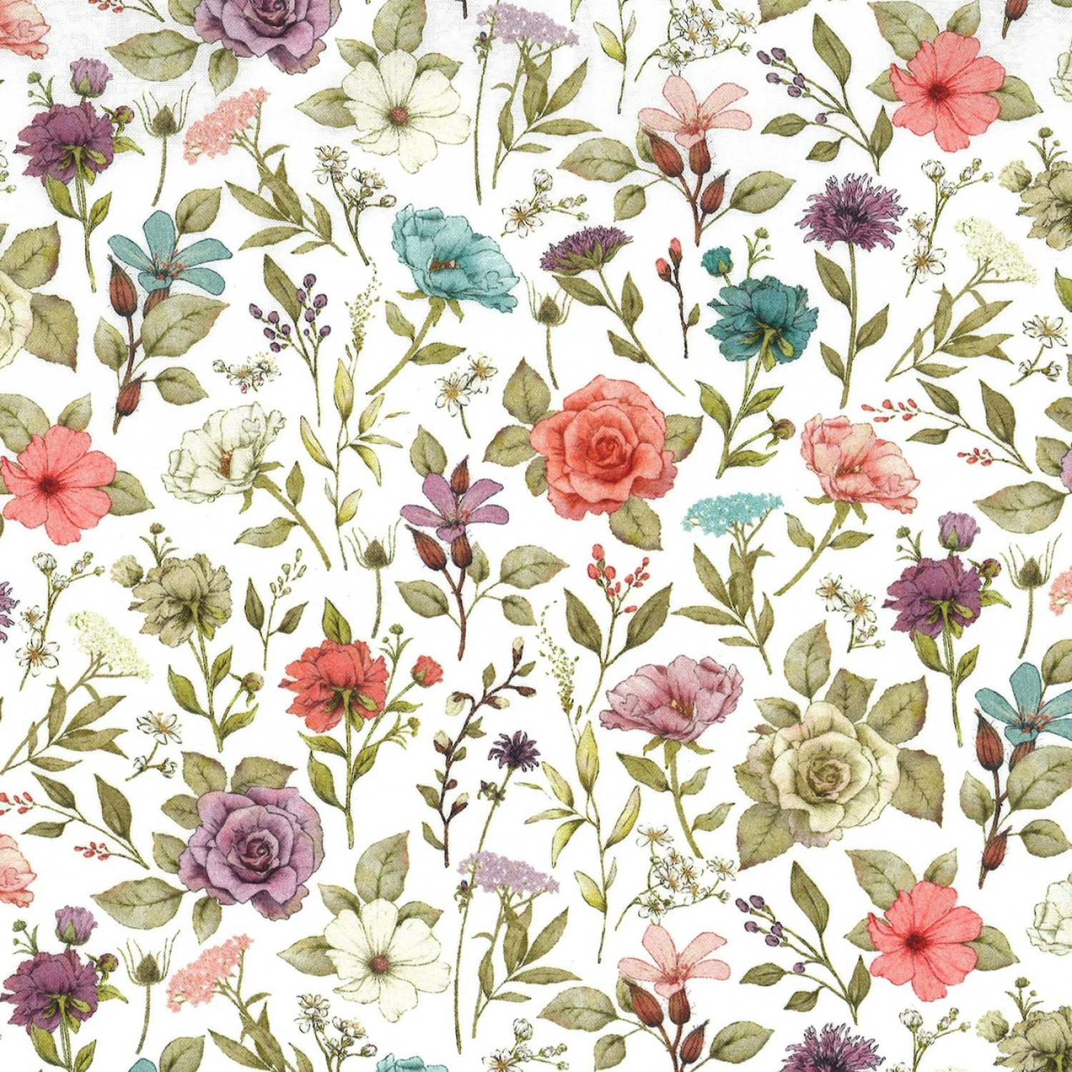Bear Flower-blomster