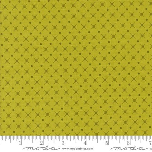 Moda-Color Crush Lime