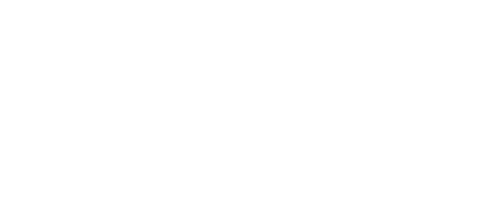 Nordic Platinum Network