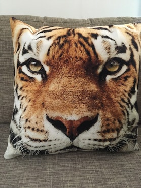 Kuddfodral & Prydnadskuddar med djurmotiv tiger utan innerkudde / 45X45 cm