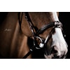 UTZONE Grand Prix Bridle Svart