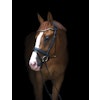 UTZONE Olympic Bridle Brun