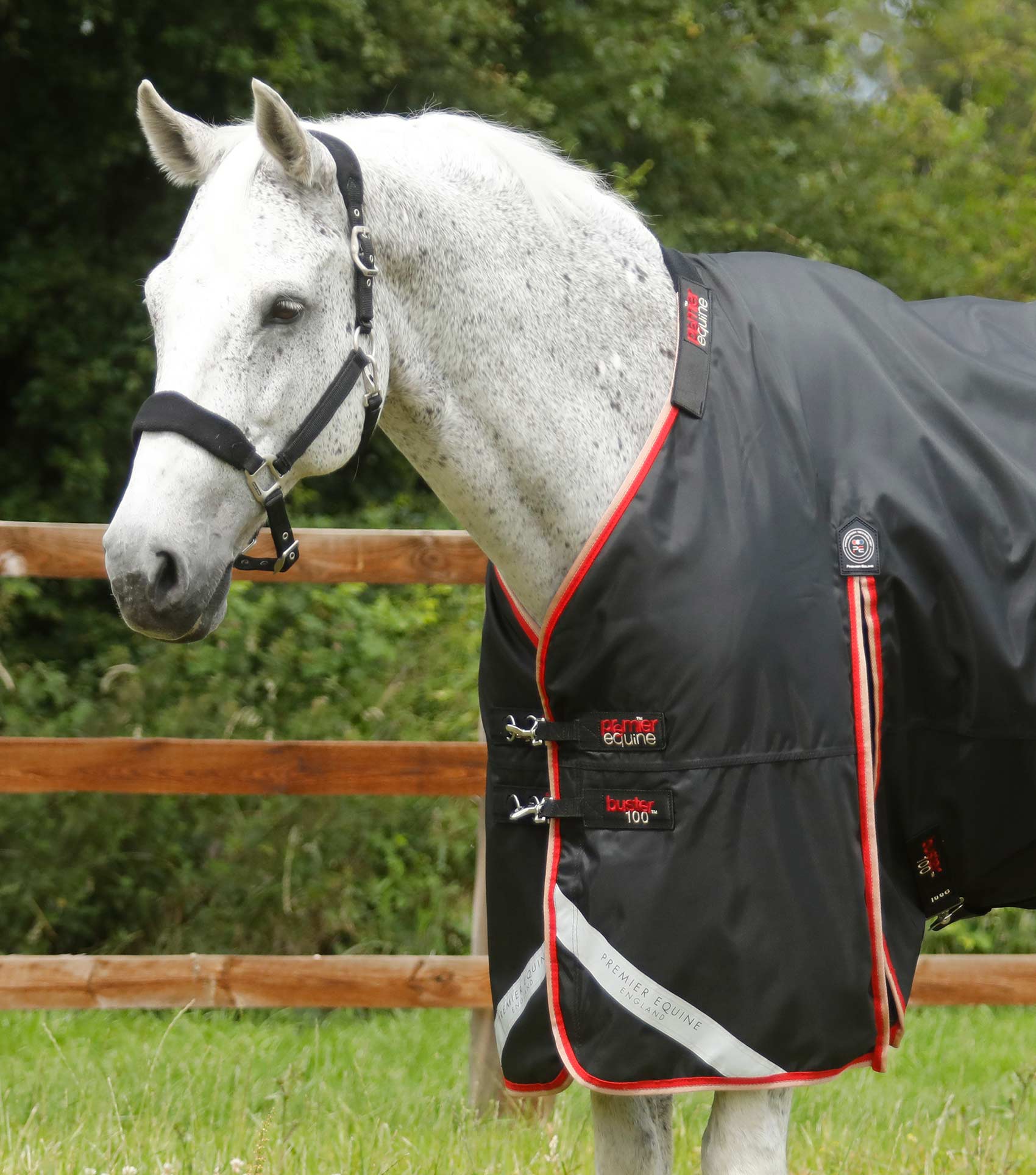 PE Buster 100g Turnout Rug with Snug-Fit Neck Cover
