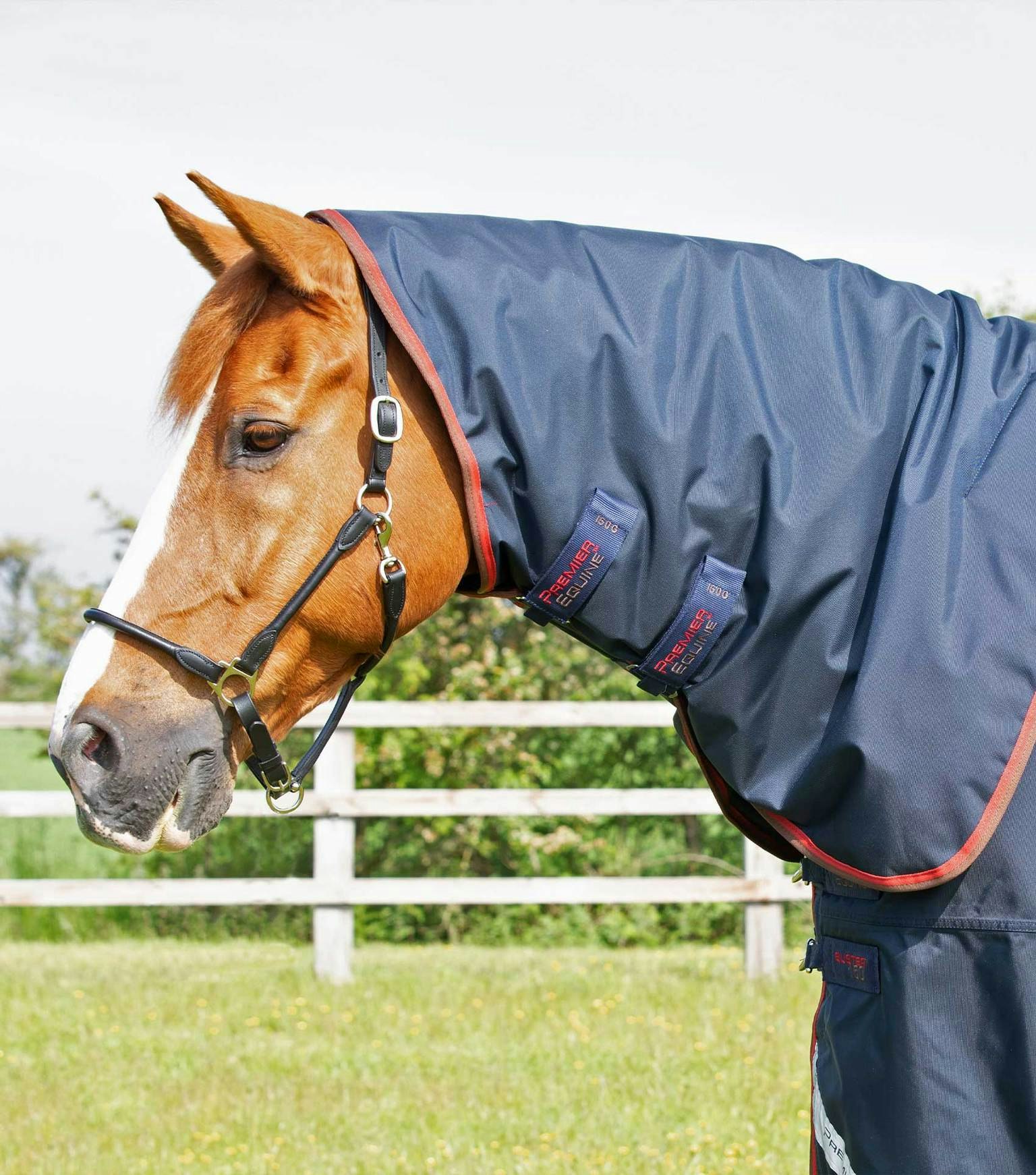 PE Buster 150g Turnout Rug