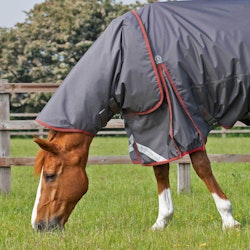 PE Buster 150g Turnout Rug