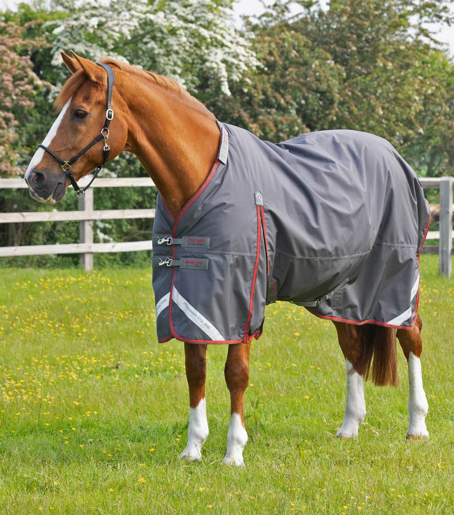 PE Buster 150g Turnout Rug with Classic Neck Cover