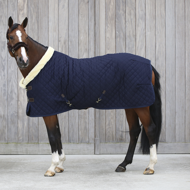 Kentucky Show Rug Navy