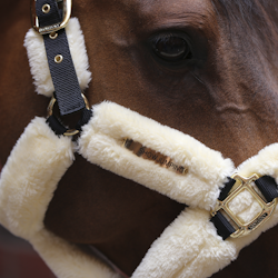 Kentucky Sheepskin Halter Natur