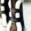 Kentucky Sheepskin Tendon Boots Elastic Svart