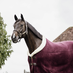 Kentucky Heavy Fleece Rug Bourdeux