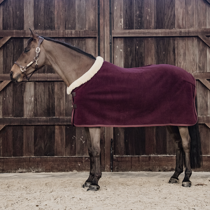 Kentucky Heavy Fleece Rug Bourdeux