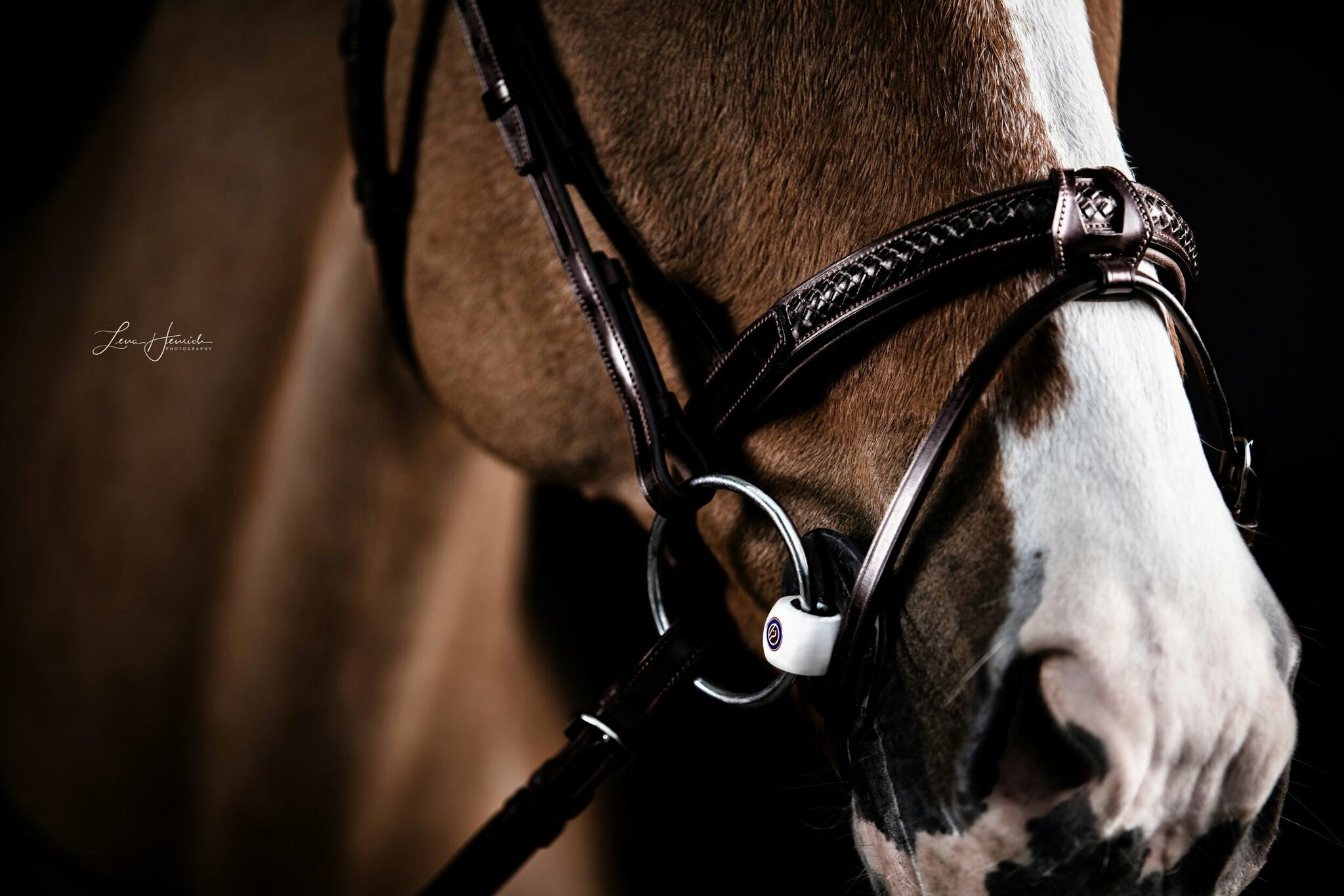 UTZONE Grand Prix Bridle Brun