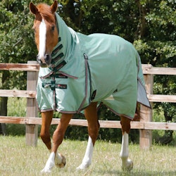 PE Combo Mesh Air Fly Rug Mint grön